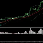 Bollinger Bands, Moving Average & MACD Strategy | 66% Monthly Profits😍