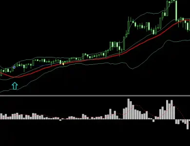 Bollinger Bands, Moving Average & MACD Strategy | 66% Monthly Profits😍
